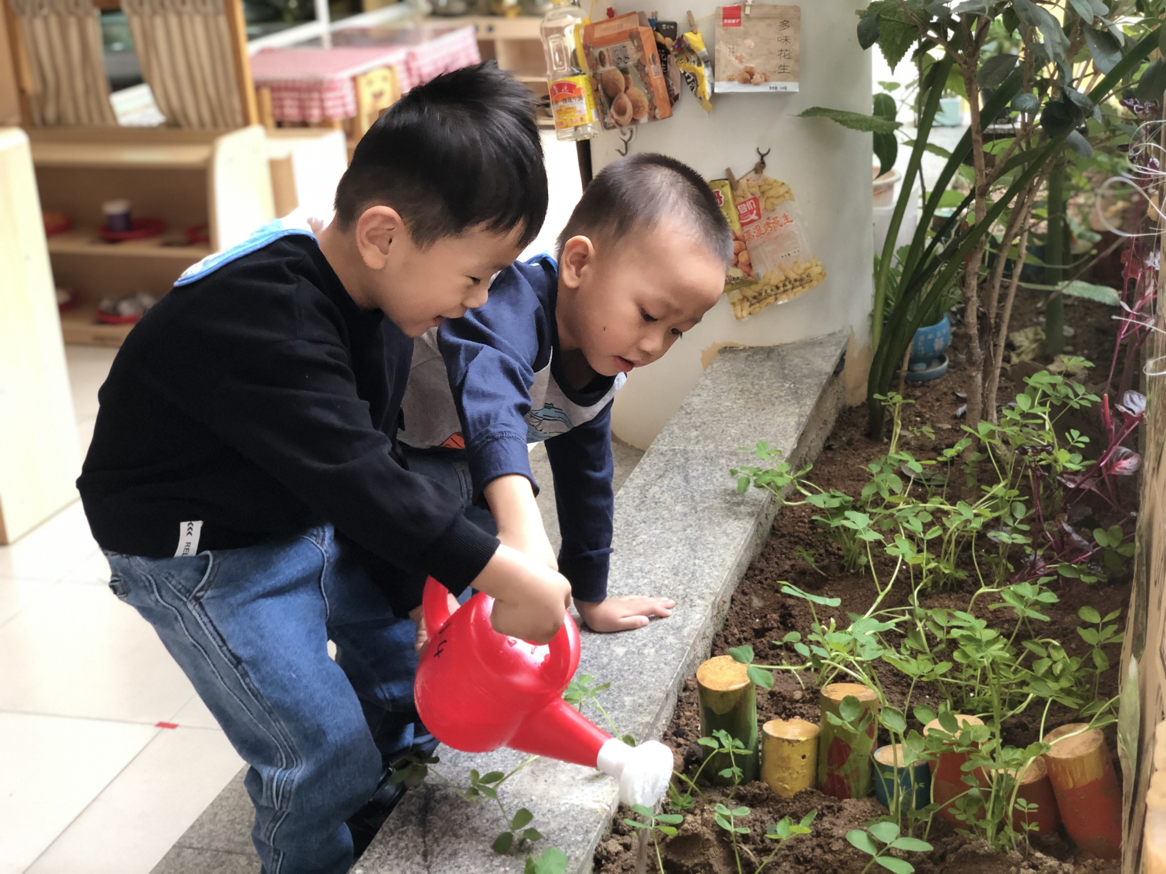 "拥抱春天 ,呵护绿色"——同安区实验幼儿园植树节